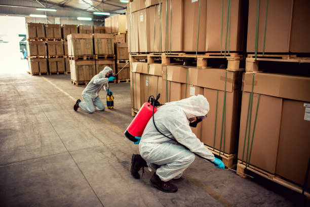 Best Pest Inspection Near Me  in Cornersville, TN