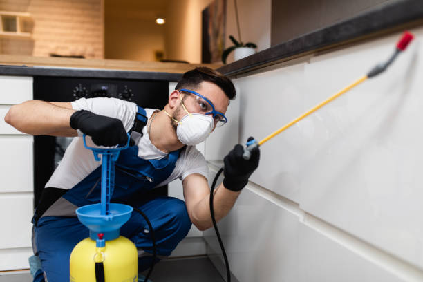 Pest Prevention Services in Cornersville, TN