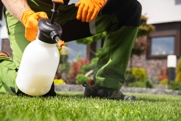 Best Pest Control Treatment  in Cornersville, TN