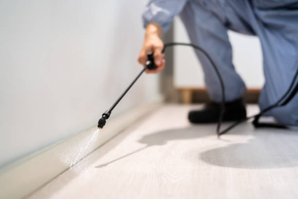 Pest Control for Restaurants in Cornersville, TN