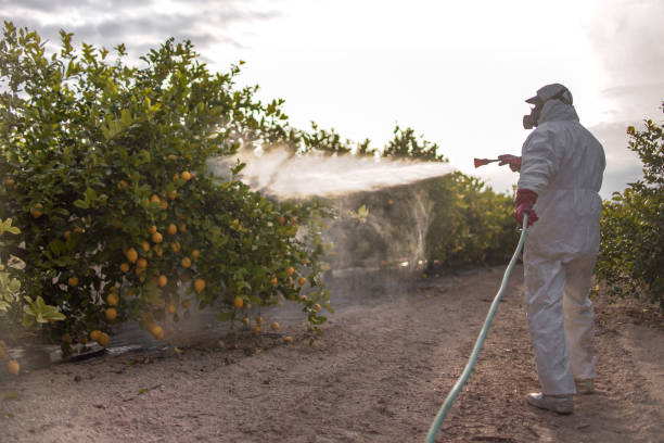 Best Pest Removal Services  in Cornersville, TN