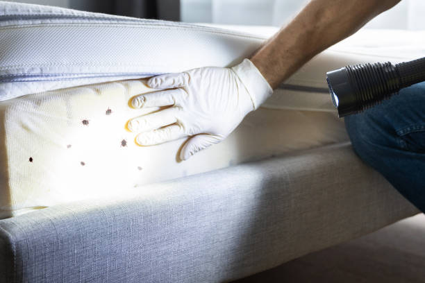Best Pest Control Near Me  in Cornersville, TN